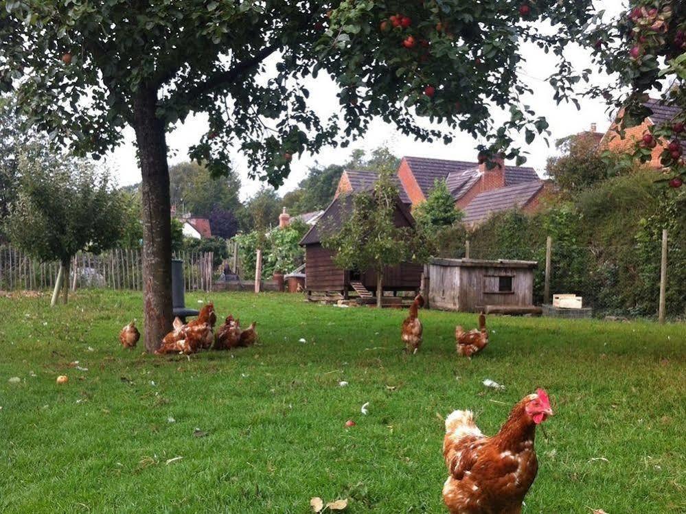 ברלי Cider Cottages מראה חיצוני תמונה